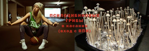 СК Кодинск