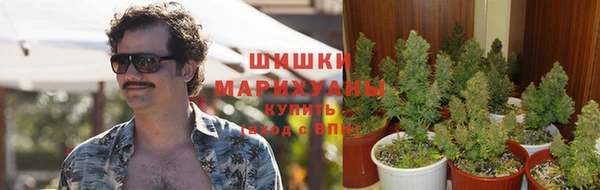 прущая мука Козельск