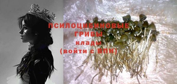 прущая мука Козельск