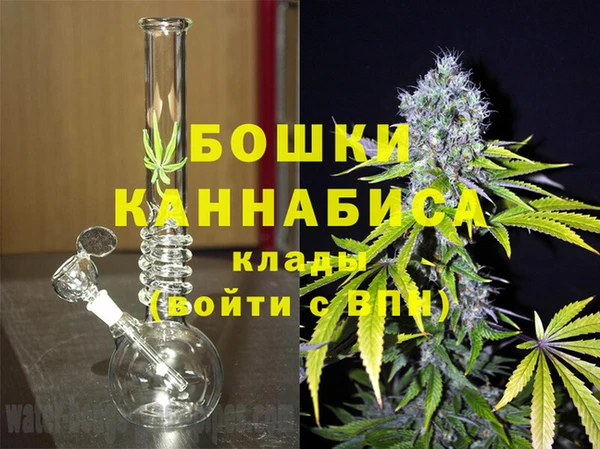 СК Кодинск