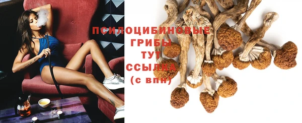прущая мука Козельск